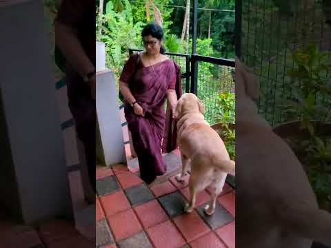 ഞാൻ വരുന്നതും കാത്ത് എൻ്റെ കുഞ്ഞ്❤️❤️