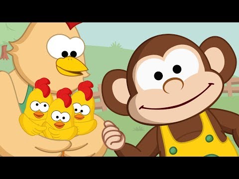 Los pollitos dicen pío pío pío - Canciones infantiles - Toobys