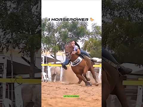 kitne horsepower hai aapka boys , Do comment #superbike #kawasaki #trending #viral @up75chhabra
