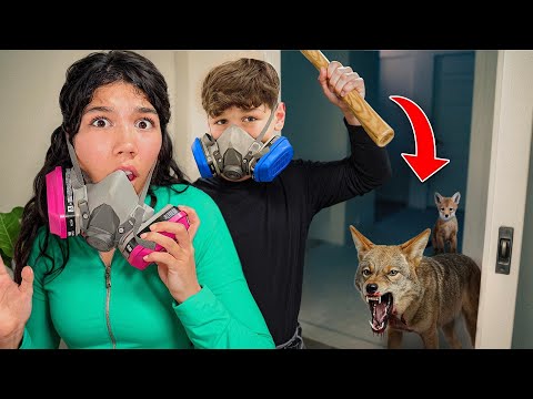 We Found A REAL COYOTE in our House! (INSANE)