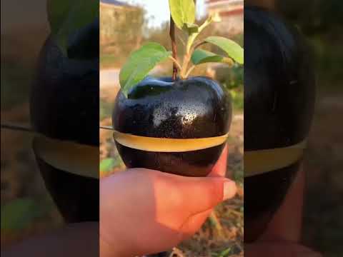 Unique Chinese Fruits 🤤