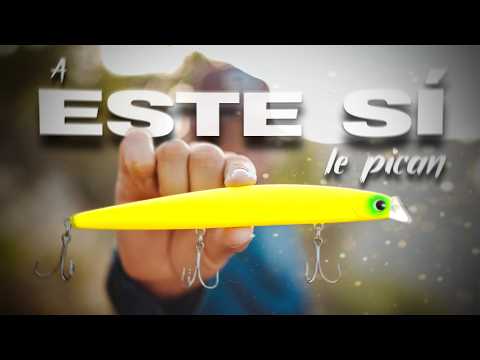 Las CLAVES de los COLORES que Nadie te cuenta