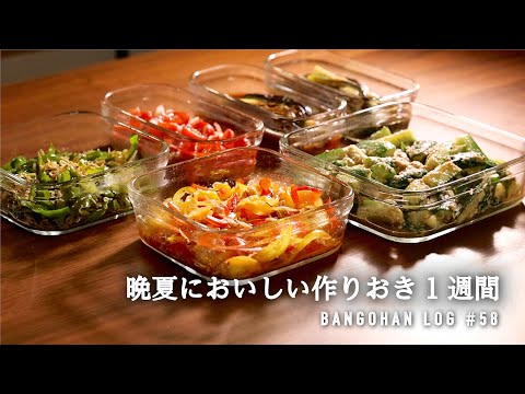 【10品5日分】1週間分の作り置き＆下味冷凍/ 暑い日が続く晩夏のラクする晩御飯 /夏バテ解消レシピ