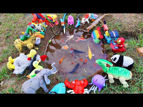 Fishing for colorful ornamental fish, betta fish, koi, native turtles, chicks, crocodile ducks