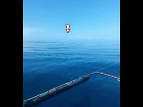 Unbelievable Guy Catches Massive Billfish: Jaw-Dropping #Fishing Adventure