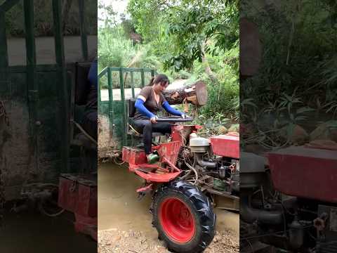 Agricultural vehicles transporting timber