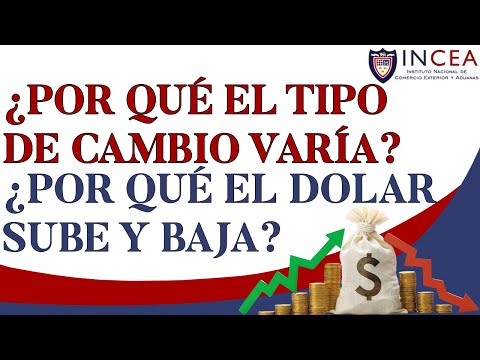 ¿Por Qué El Tipo De Cambio Varía? ¿Por Qué El Dólar Sube y Baja?