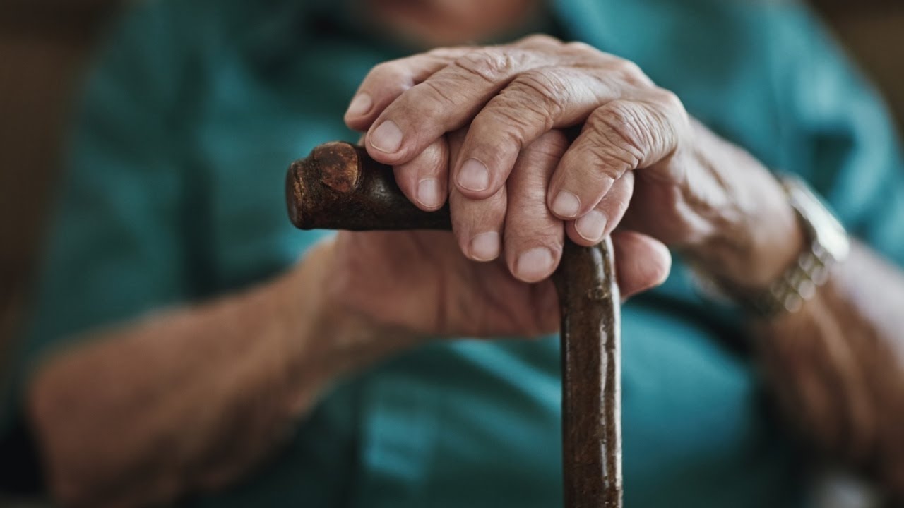 ‘Typical of the Left’: Sydney School Adopts ‘Grandfriends’ Day’