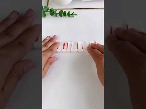 Ciencia para niños con Burrikiki