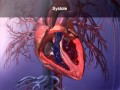 Heart Function Phases and Processes