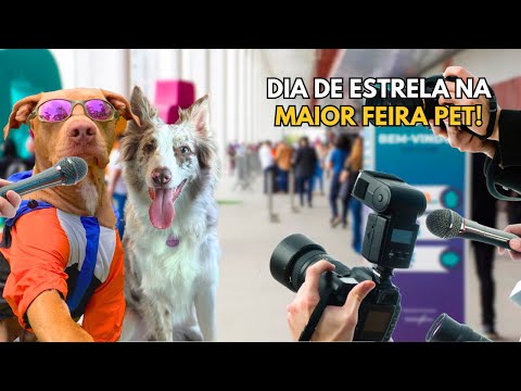 Levamos O Sebastian e a Valentina Para a Maior Feira Pet e Eles Amaram | Encontro Com Seguidores