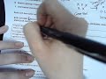 Body Systems and Their Functions
