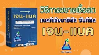 วิธีการขยายเชื้อสดแบคทีเรียบาซิลัส ซับทิลิส เจนแบค I TAB Innovation