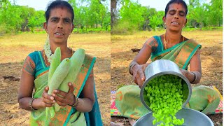 Snake Gourd Fry Recipe | Amma’s Traditional Tamil Style Cooking