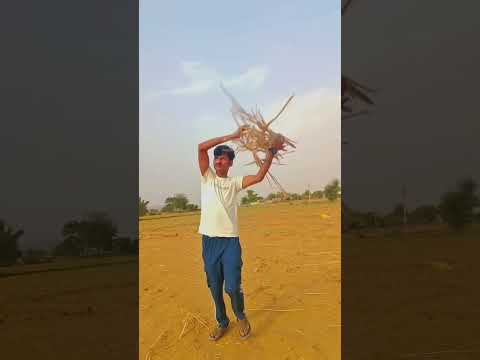 Respect India Flag ๐ฎ๐ณ๐๐ป เคคเคฟเคฐเคเคเคพ ๐ญ๐ฎ๐ณ Tiranga Jhanda ๐ฎ๐ณ 15 August ๐ฎ๐ณ๐๐ป#shorts #indianflag #army