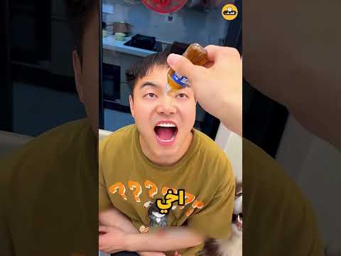 كلبي سرق حلوى الجيلي الخاصة بي... وحدث ما لم يكن متوقعاً! 🤕💔