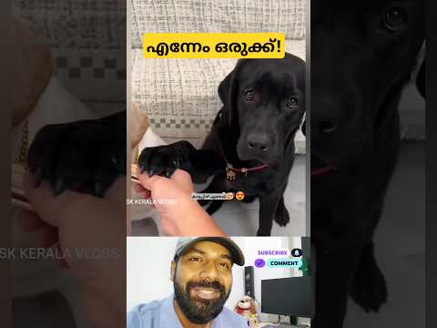 സുന്ദരി ആയോ?? ❤️