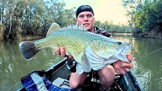 Murray Cod, Fishing with Tiny Hook, Was Not Expecting This....
