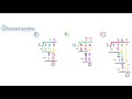 Division Concepts and Calculations