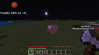 sobrevivendo no hardcore