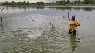 New Fishing video 🎣 in Krishna River Big Rohu Fishes to Catching FLOAT FISHING 
