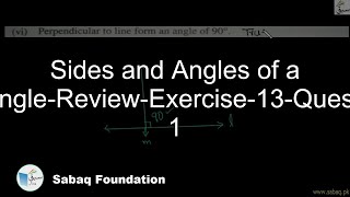 Sides and Angles of a Triangle-Review-Exercise-13-Question 1