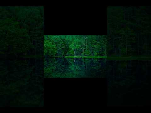 【撮影:Ryota】ミラーレスで撮影しました! #rkphoto #一眼レフ #カメラ #写真の撮り方