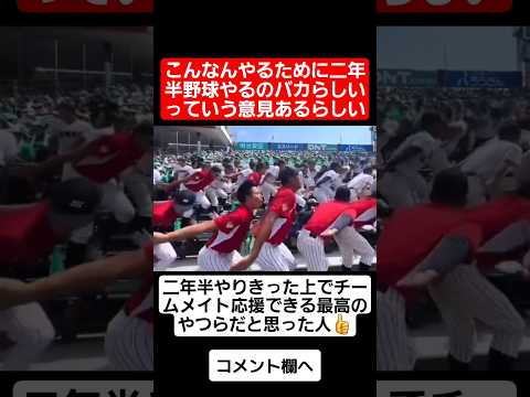 【甲子園】この高校の野球の応援面白すぎるww#shorts#tiktok#おすすめ#甲子園#高校野球#感動