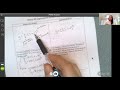 Exploring Exponential Growth and Decay Concepts