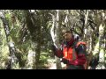 Increment Borer and Tree Core Sampling