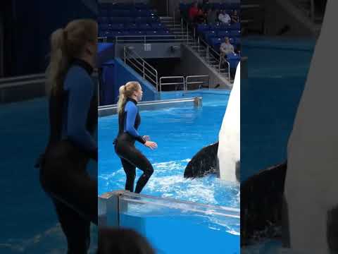 مقطع حقيقي.. الأركا والمدربة جيسيكا في مواجهة 🔥.