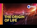 Exploring the Origins of Life: Key Concepts and Theories