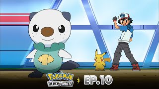 Pokémon: Black & White | EP. 10 | Pertarungan dengan Rival! Frillish Terkuat! | Pokémon Indonesia