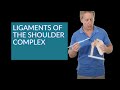 Shoulder Ligaments and Injuries