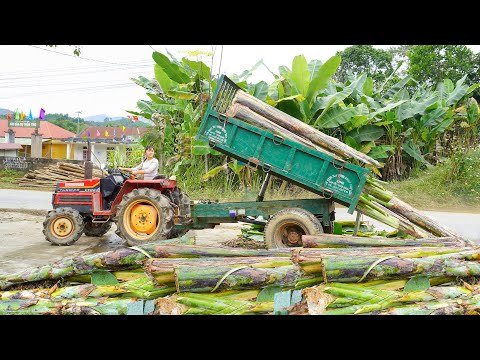 Use Truck To Transport Goods To Help People - Take Care Of Vegetable Gardens On Farm.