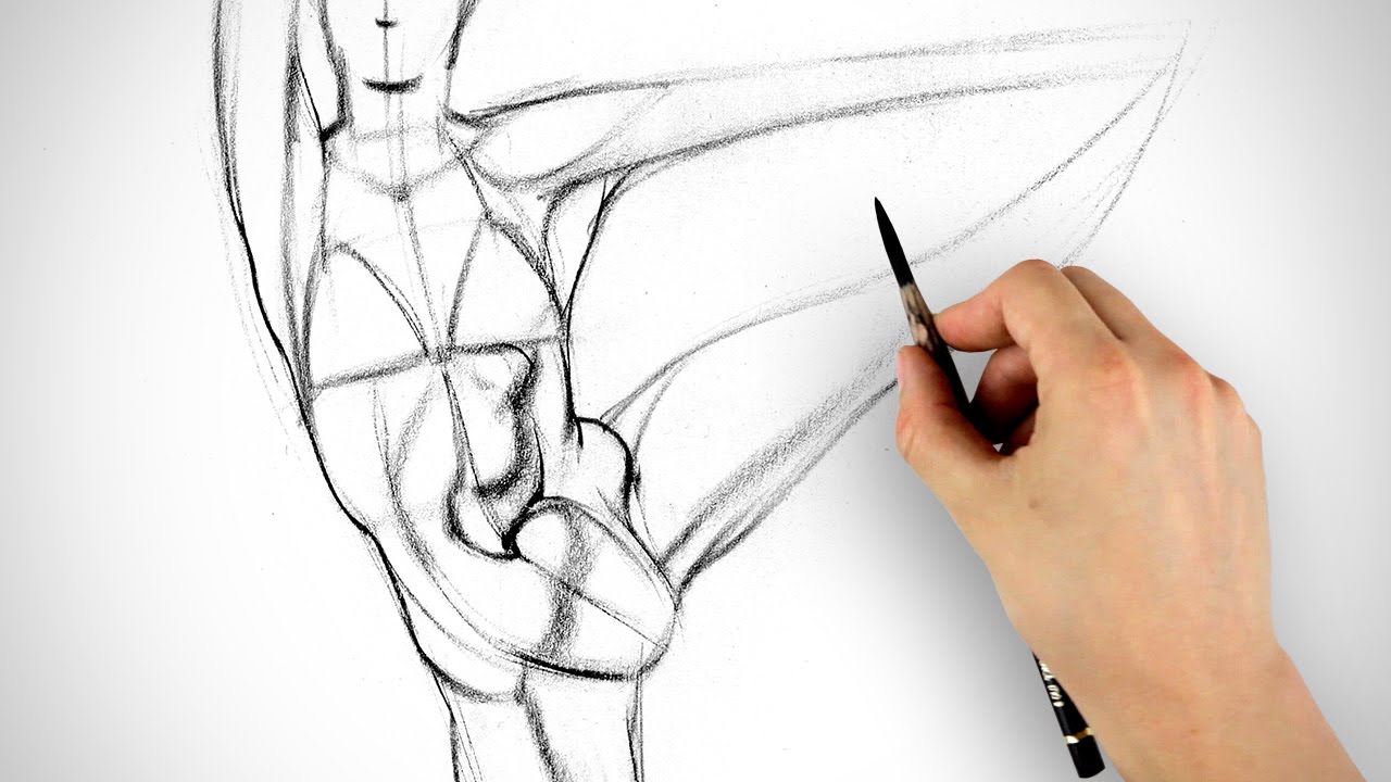 How to Draw Abs - Gesture Example 1 - Proko