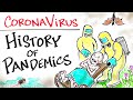 Lessons from Pandemics and Preparedness