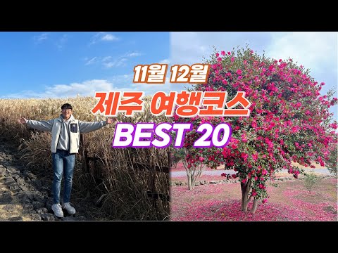 11월 12월 제주여행 추천 코스 BEST 20 🎄 날씨가 추워져도 예쁜 곳이 넘쳐나는 가을 겨울 제주도 여행지 추천