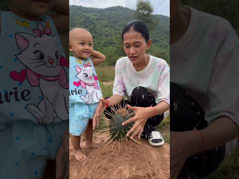 The show AMAZING SMARt and Useful in forest #outdoors #campping #survivalskills