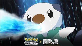 Pokémon: Black & White | EP. 3 | Oshawott dan Sandile! Bahaya Mendekat! | Pokémon Indonesia