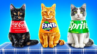 Défi Nourriture « Moi contre Mes Animaux » ! Astuces Faciles pour les Propriétaires D'animaux
