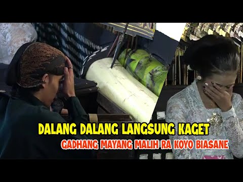 DALANG DALANG LANGSUNG KAGET RUH GADHANG MAYANG MALIH RA KOYO BIASANE