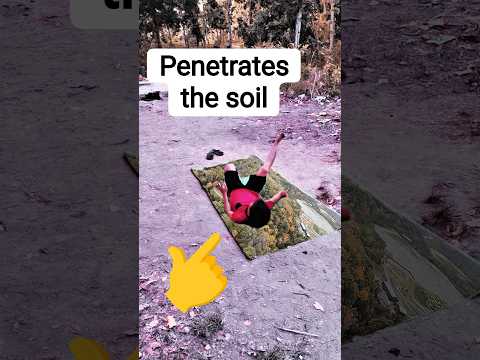 Penetrates the soil 😱| #amazing #youtubeshorts