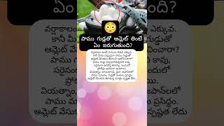 #SnakeEggs #TeluguShorts #WeirdFacts #RainySeason #SnakeFacts #Wildlife #ViralTelugu #OMGFacts