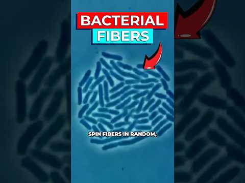 Scientists Create Supermaterial to Replace Plastic