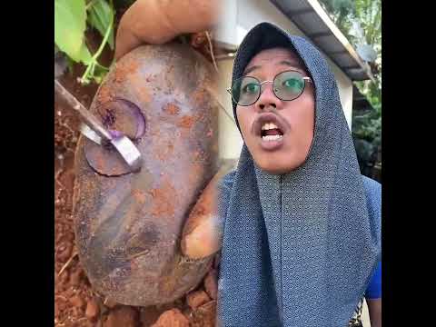 Por favor comparte con tus amigos#pov#herramientas#sketch#gracioso#actuaci贸n#historia