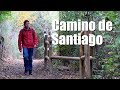 Camino de Santiago: Experiencias y Reflexiones