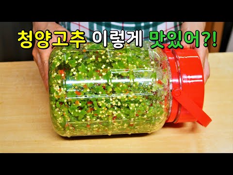 청양고추 쌀 때 무조건 많이 사서 고추청 담가보세요! 요리가 진짜 편하고 쉬워져 평생 써먹습니다