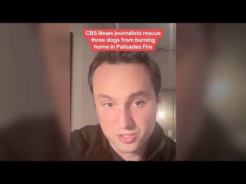 CBS News journalists rescue three dogs from burning home in Palisades Fire