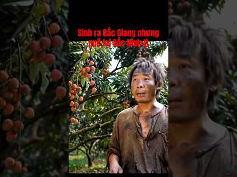 Sinh ra Bắc Giang nhưng quê lại Bắc Ninh:))
